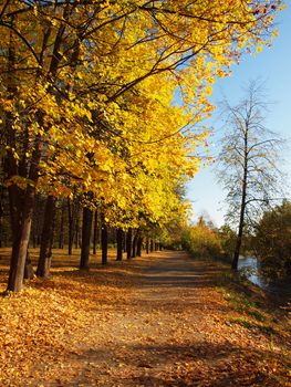 Park in the fall 