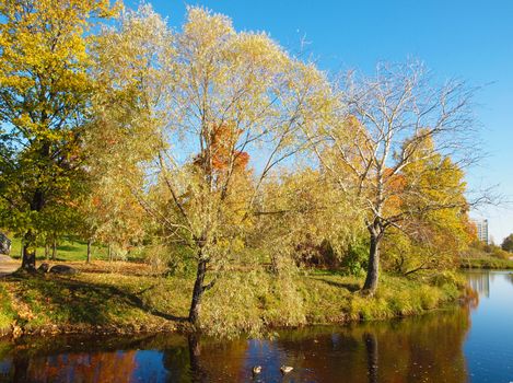 Park in the fall 