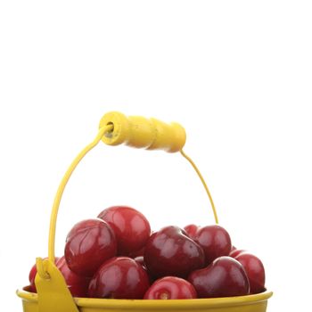 Cherries in colorful yellow metal bucket isolated on white background