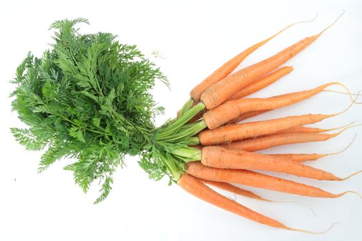 Fresch carrot over white background