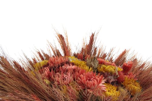 A bouquet of wheat and flowers isolated