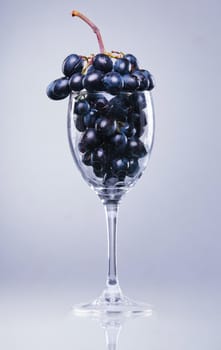 Bunch of Grapes in translucent blue wine glass
