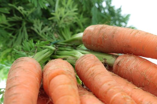 Fresch carrot isolated on white background