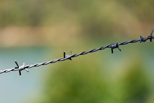 Steel barbed wire on blurred background