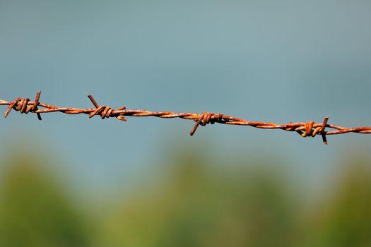 Rusty steel barbed wire on blurred background