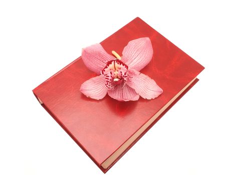 Orchid and the book