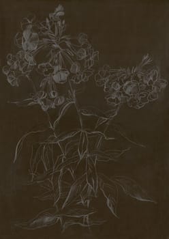 Image of my artwork with a flower on dark background