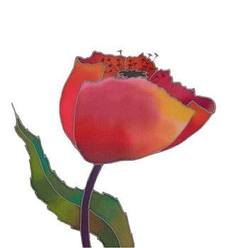 batik red tulip isolated over white background