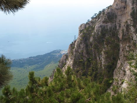 mountain landscape view with trees and rocks 