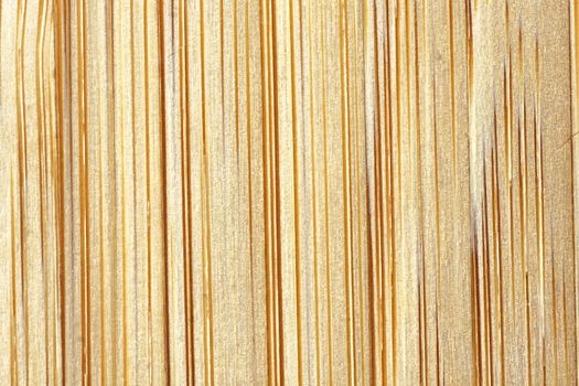 Macro background: great bamboo fibers and wood grain details. 