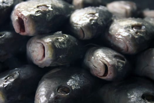 A stack of fish at a fish market.