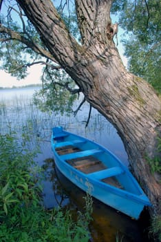 Blue boat floating near old willow in Sirvenos lake