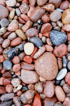 Closeup of many little stones on the coast of baltic sea