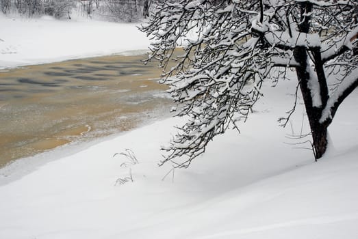 River covered with ice shooted from little mountain near forest with many snow around.