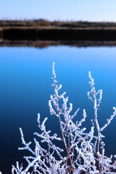 icy twigs and branches in the snow against a cold blue river and sky background