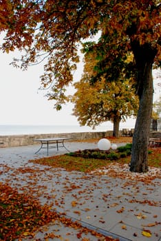 There are only leaves and wind left in late autumn seaside villas