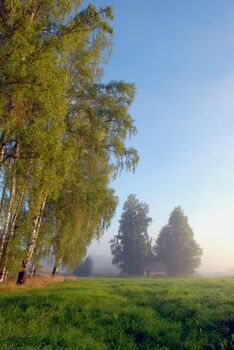 Warm summer morning mist creates a special atmosphere