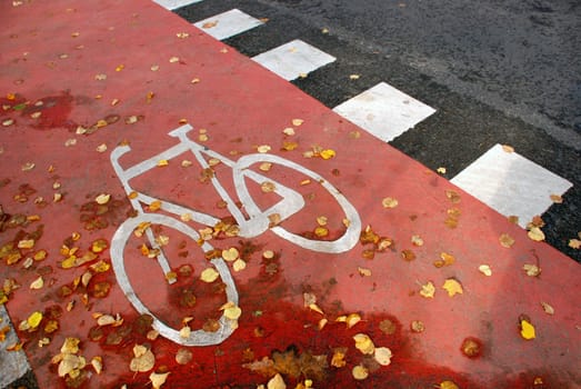 Autumn leaves on a red bicycle path