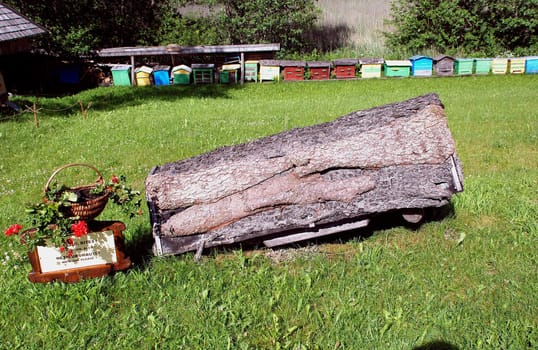 Beekeeping heritage - ancient horizontal hive with modern hives in the background