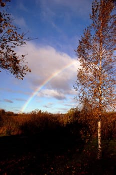 Beautiful rainbow between colorful autumn trees and fields