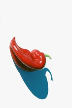Red pepper with shadow on a white background