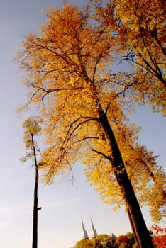 Autumn landscape with yellow leaves of trees and church towers