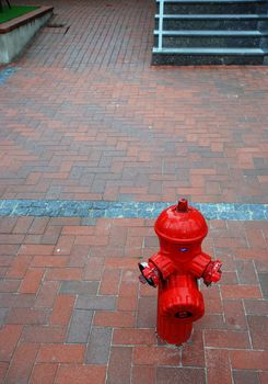 Red fire water tap in the street