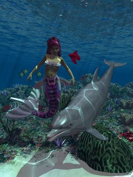 a mermaid swimming with a dolphin