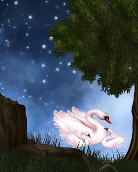 Swans swim in the night on the lake