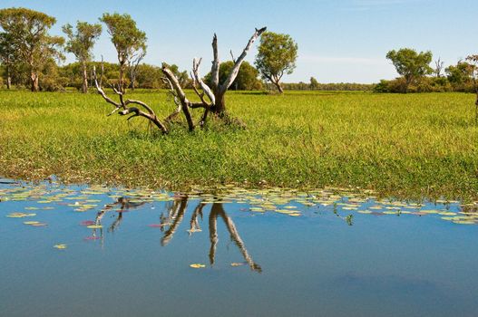 landscape of Kakadu National Park, australia
