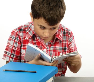 A young schoolboy reading a  book
