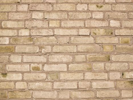 Yellow Brick Wall Full Frame