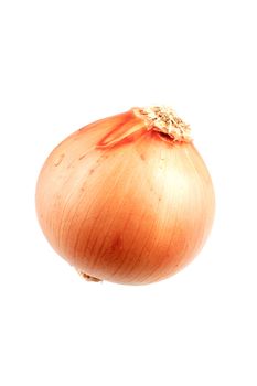 Golden onion isolated on a white background