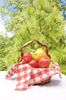 fresh fruit in a basket in an outdoor setting