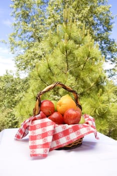 fresh fruit in a basket 