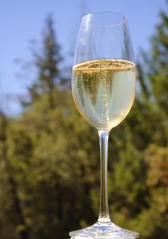 glass of champagne or sparkling wine