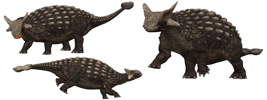 Ankylosaurus Dinosaurs from north america - isolated on white