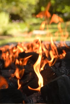Falmes licking upwards on a burning bed of charcoal briquettes