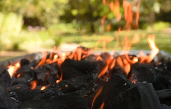 Falmes licking upwards on a burning bed of charcoal briquettes