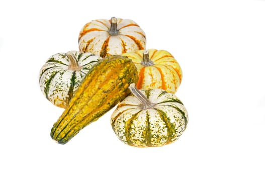variety of sqush or gourds isolated on a white background
