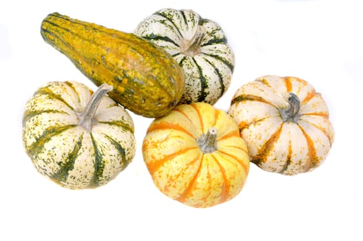 variety of sqush or gourds isolated on a white background