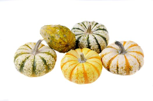 variety of sqush or gourds isolated on a white background