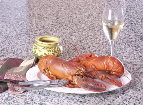 Fresh cooked lobster with wine