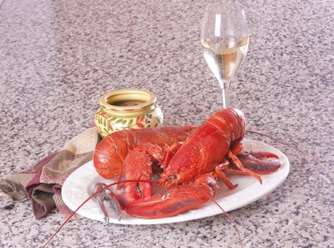 Fresh cooked lobster with white wine