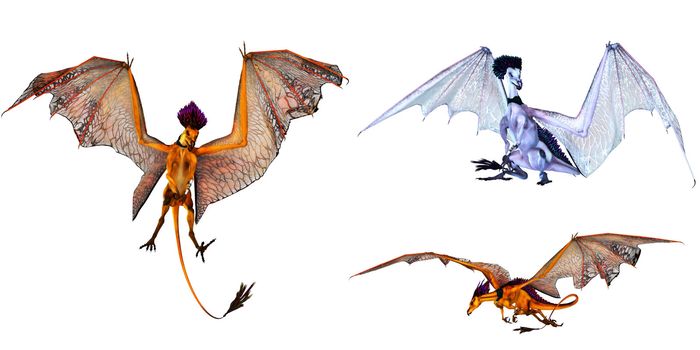 three colorful fantasy dragons - isolated on white