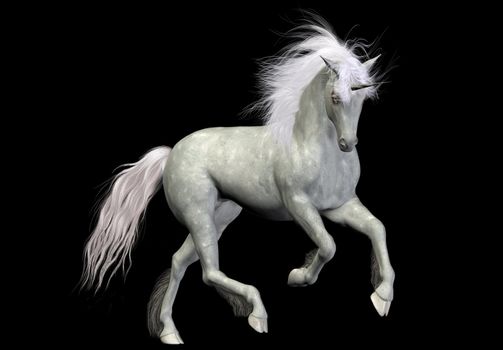 a beautiful white unicorn - isolated on white