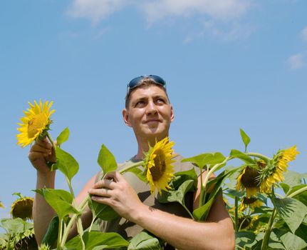 Man in the field of sunflowers