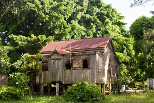 A vacant dwelling on Tongatapu Island in the Pacific