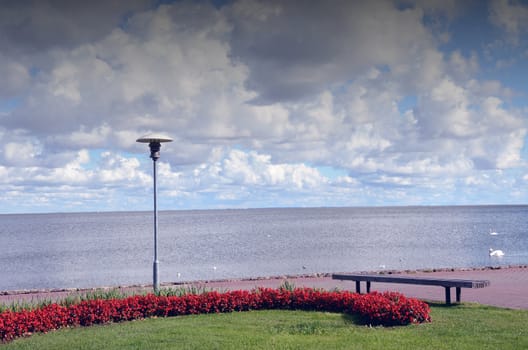 Park at the lake. Outdoor lighting. Flower garden and a bench. Swans floating in lake.