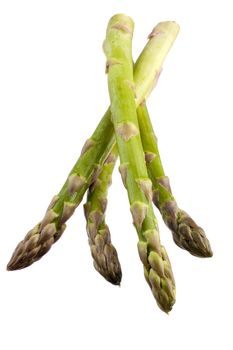 Asparagus fronds isolated on a white background